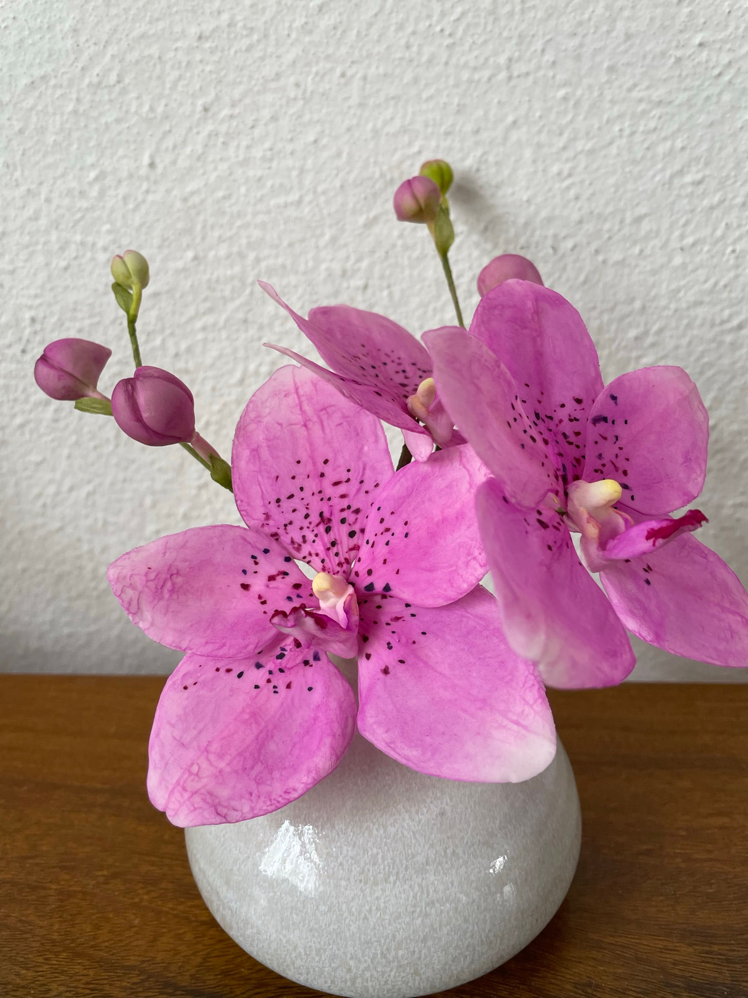 ORQUÍDEA VANDA (TAM M)