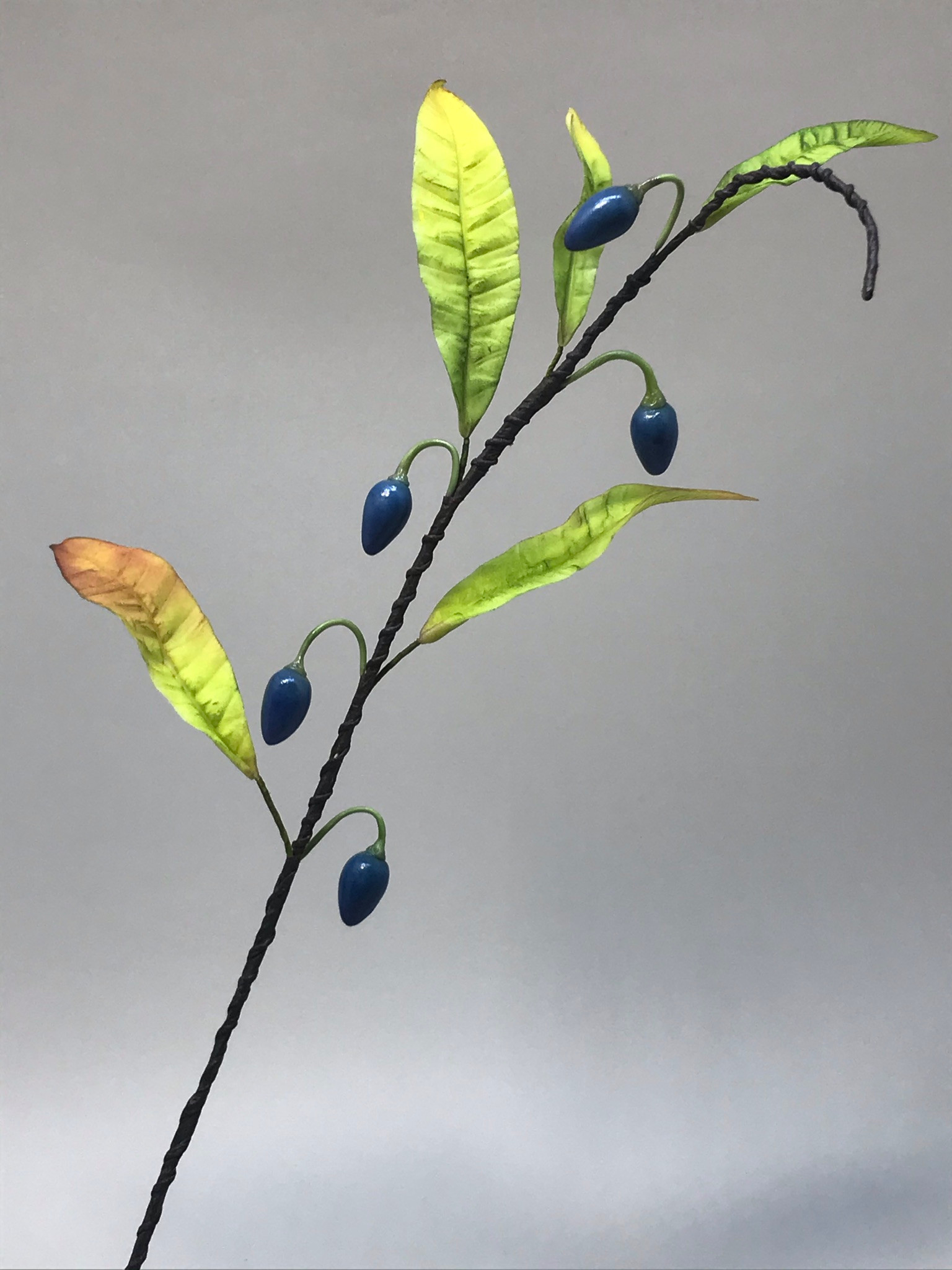 ELAEOCARPUS (FRUTA SILVESTRE DA AUSTRÁLIA)
