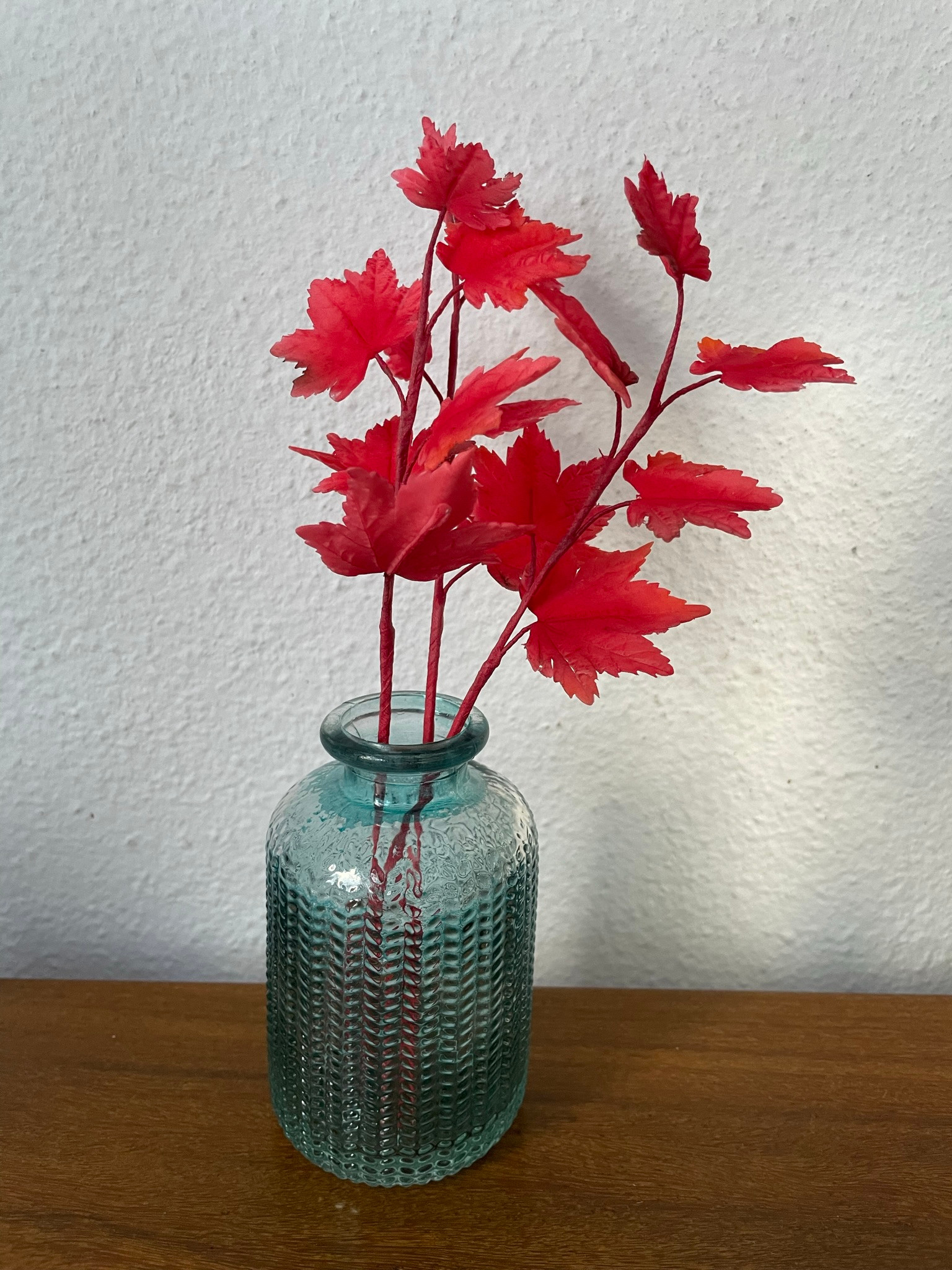 BORDO (ACER) - MODELO I