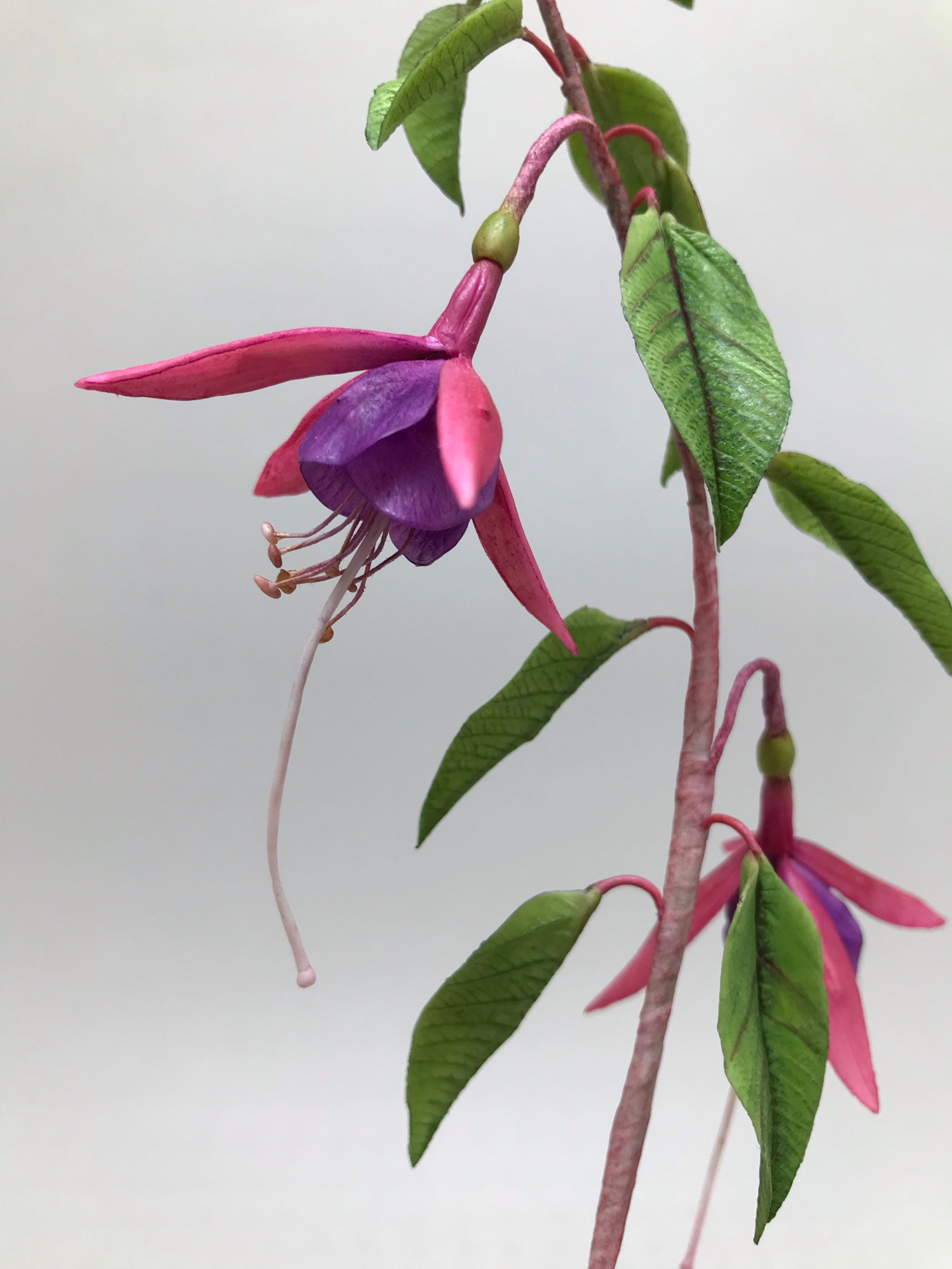 BRINCO DE PRINCESA (GALHO)