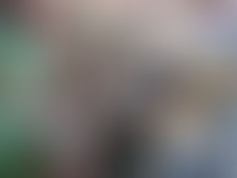 Seni untuk Menengok Bara-baraya