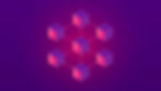 vasp license in svg