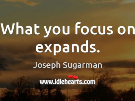 What’s Your Focus?