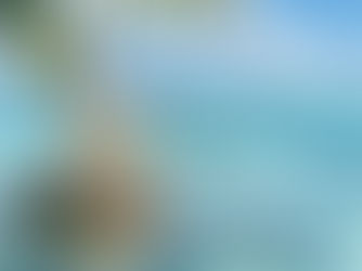 Seychelles Crypto License Cost 2026: Complete Breakdown of All Fees