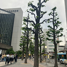 Travel Writing and Features