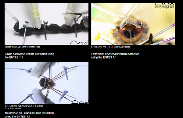 entomopixel fluid extraction.png