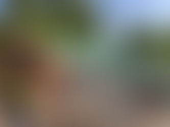 Erosion Control Blanket Installation & Maintenance Tips