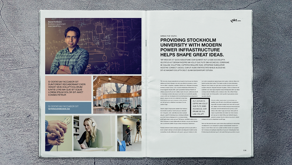 wiring the future strategigrab4.png