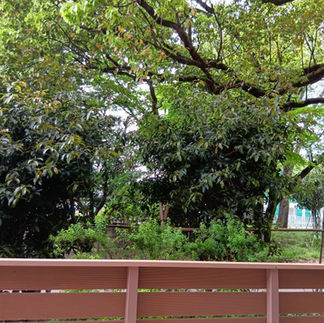 大学キャンパス