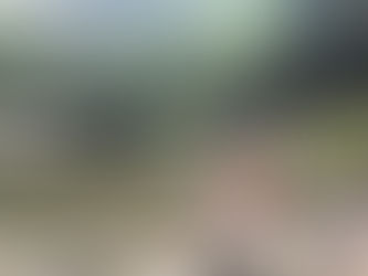 ［坪林烤肉趣］一邊烤肉一邊玩溪水的好地方－青山農場