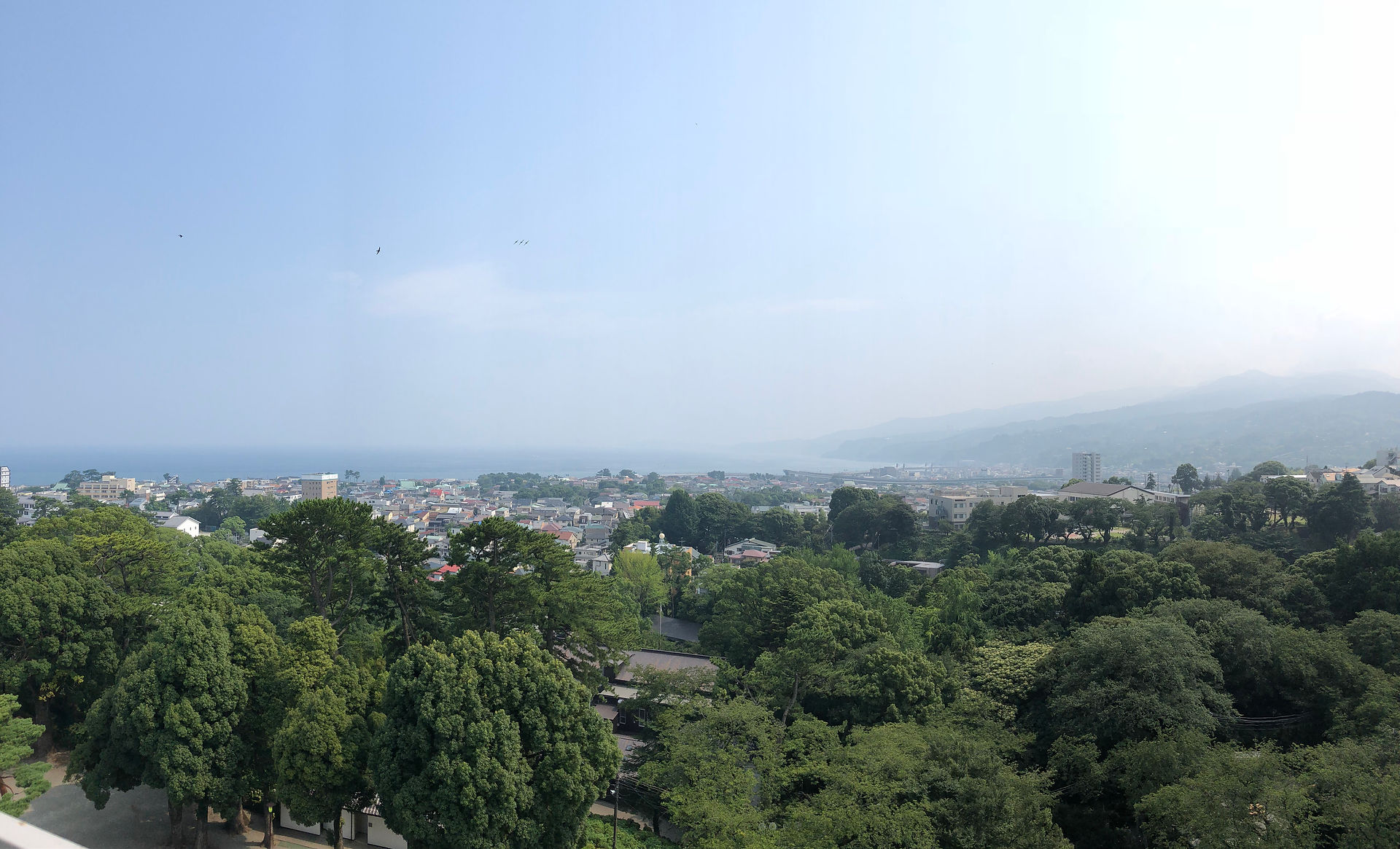 20180724-小田原城 (168)