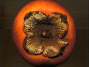 To Kill a Persimmon