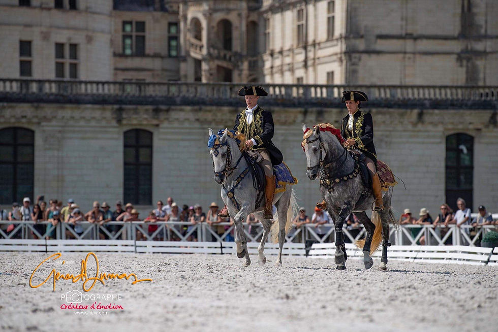 chambord 2019