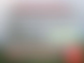 Vegetation Management