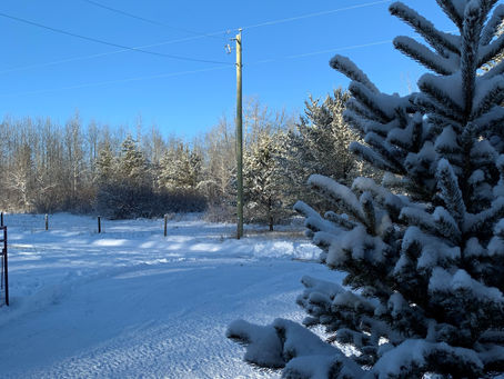 Updated Contact Information