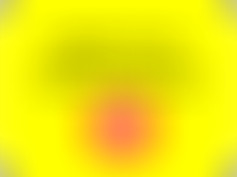 Apply for our 2019 Scholarship Today!