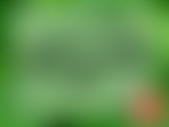 Happy St. Patrick's Day!