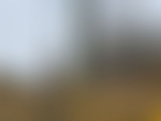 Are You A Part of A Rural Group or Organization?