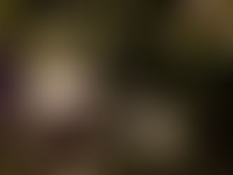 Holiday Energy Saving Tips