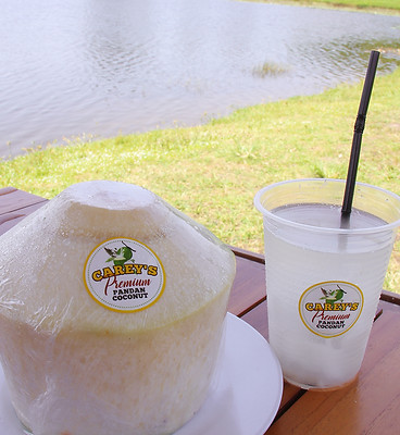 coconut15.jpg