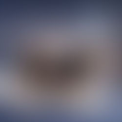 Winter's Enchanted Symphony