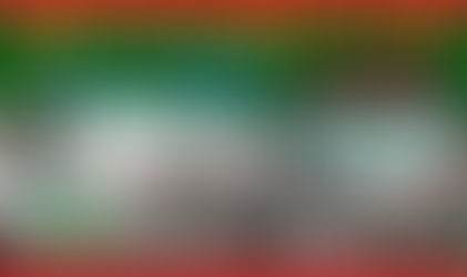 김대중 여단 반란군의 16가지 518 군사반란 -4호작전-