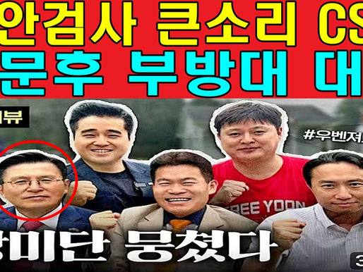 공안검사 큰소리 CSIS 방문후 부방대 대표