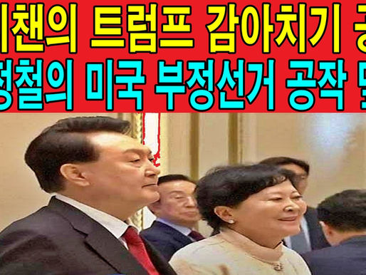 애니챈의 트럼프 감아치기 공작, 양정철의 미국 부정선거 공작 덮기