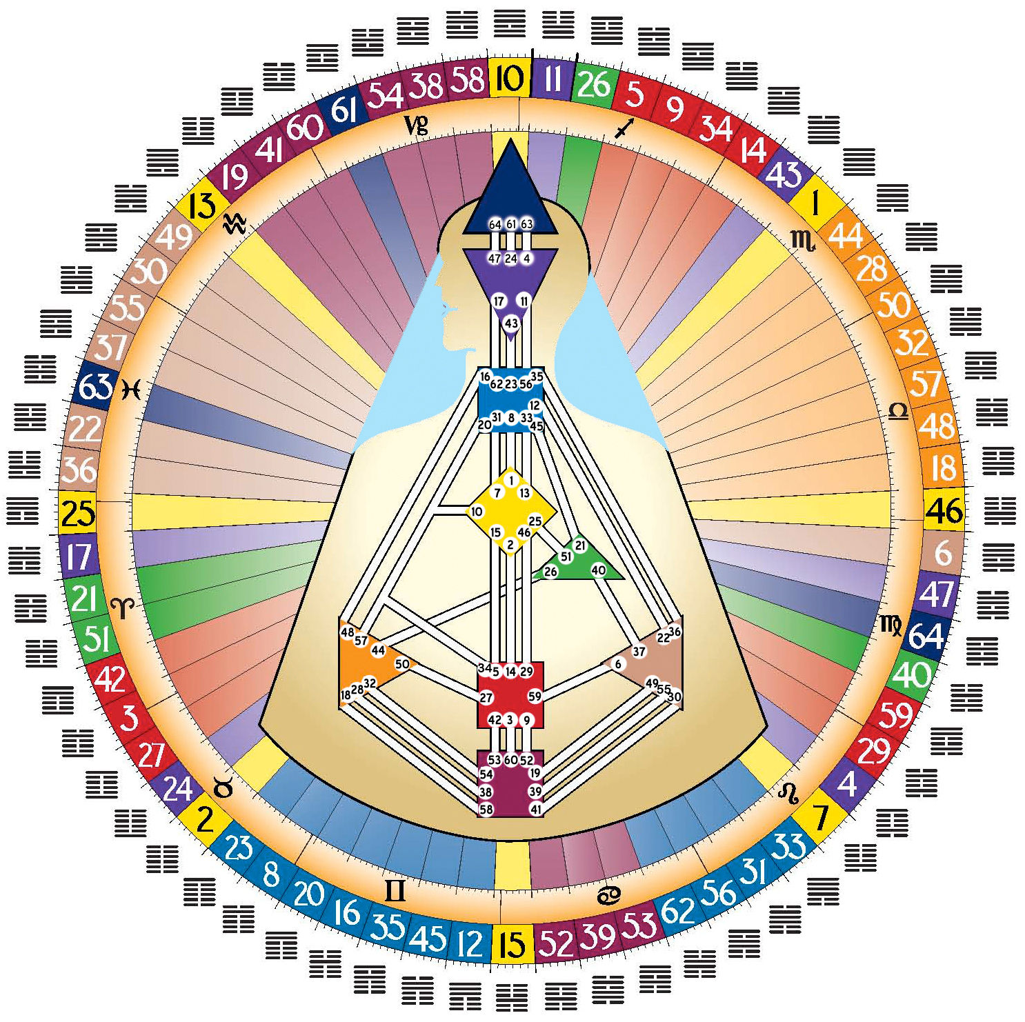 Basic One-on-One Human Design Reading