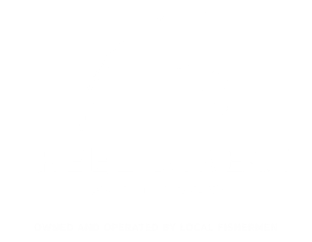 RDS Logo (WHITE).png