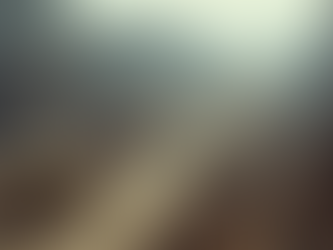 Top Construction Services for Your Next Project