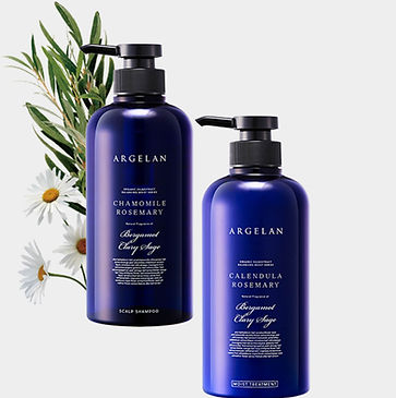 lineup_haircare.jpg