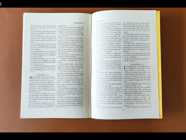 Gospel of John & Romans