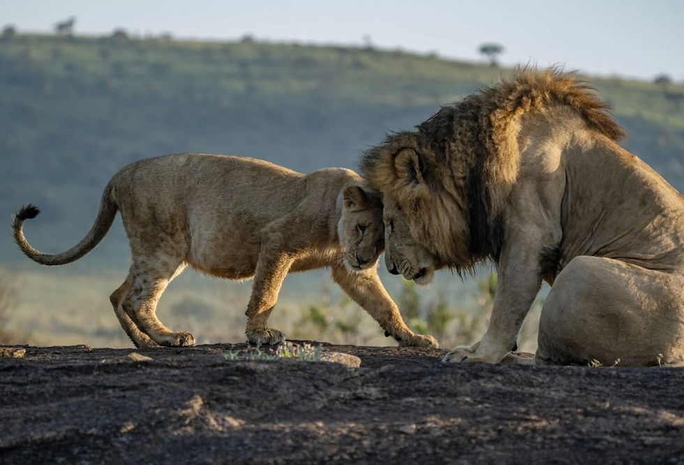 The Protector: A Man’s First Calling
