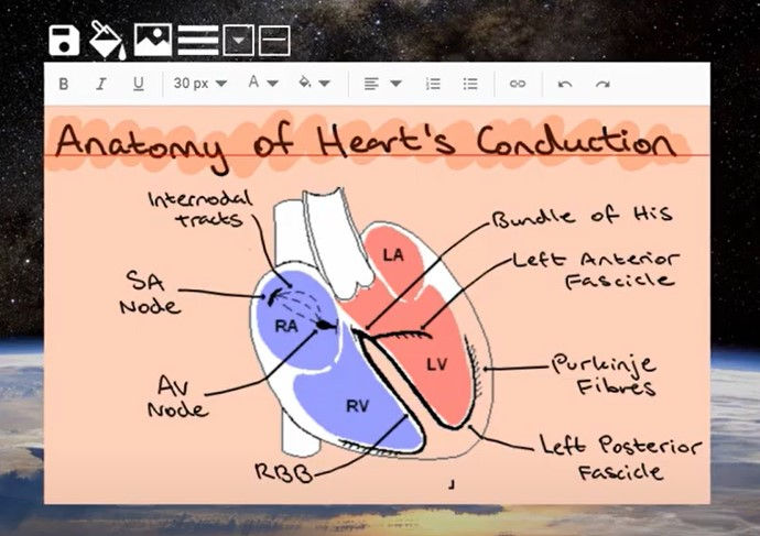 Anatomy Flashcard showing heard with handwriting annotation
