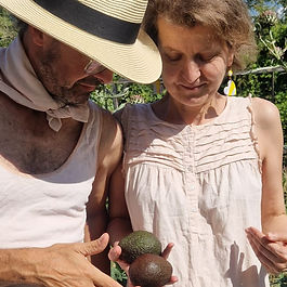 Acocados for dying clothes