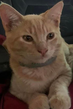 612513375_25799331083037870_4935065830003375813_n