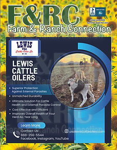 summer spec covers 2025.jpg