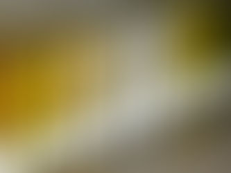 Un parfum, des concentrations différentes selon les pays.