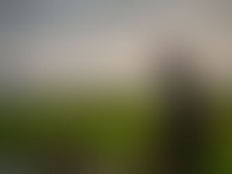 Guéni : Un ingrédient olfactif singulier aux multiples facettes, entre tradition africaine et potentiel créatif