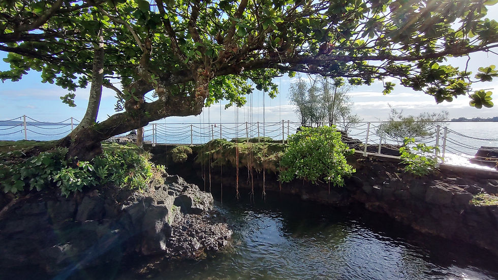 Hilo - Grand Naniloa Hotel.jpg