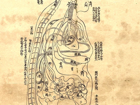 Acupuncture Clinic in West Leederville: A Personalised Approach