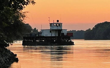 Dämmerungswanderung - Marktkonzert "Versorgungssicherheit" - Apfelurwald.