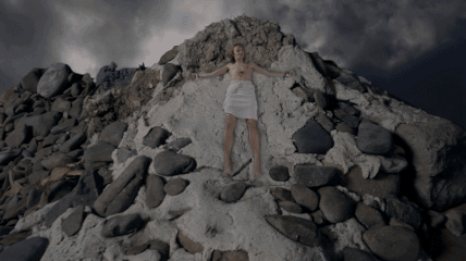 birds gif.gif