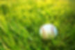 baseball-game.jpg