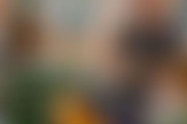 Free summer of activities for families who have children with additional needs