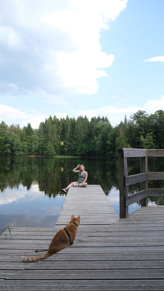 lac de Molière avec sur un ponton en bois, une jeune femme au loin et au premier plan un chat roux de dos