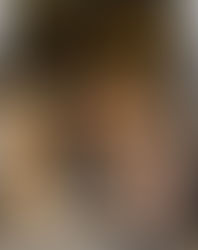 un chat roux embrassé par sa maitresse dans son fourgon aménagé