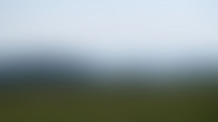 Vue sur le Ballon de l'Alsace du sommet