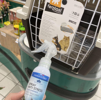 caisse de transport et spray anti stress pour chat